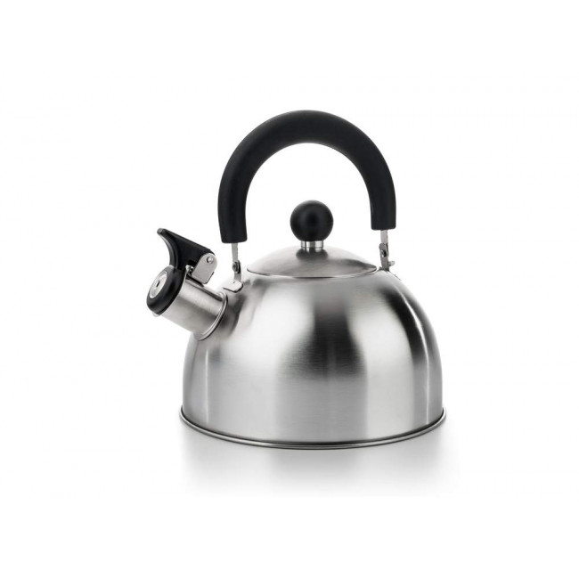 Kettle with a whistle 